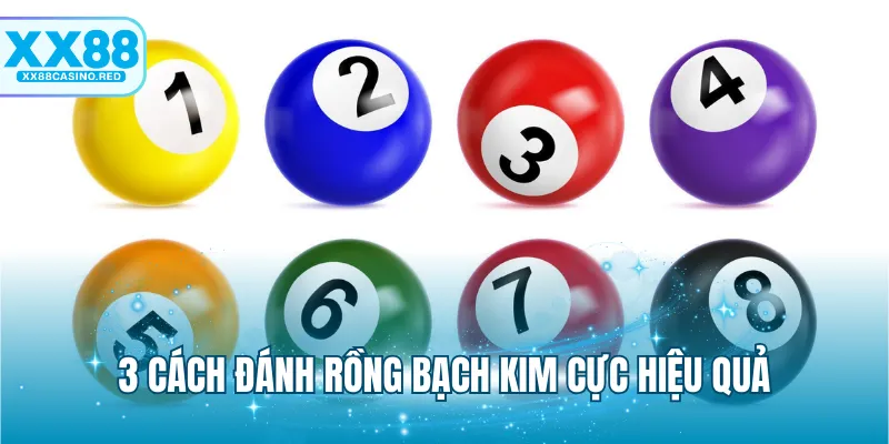Rồng Bạch Kim - Bí Kíp Tăng Khả Năng Thắng Đậm Lô Đề 6 3 cách đánh Rồng bạch kim cực hiệu quả