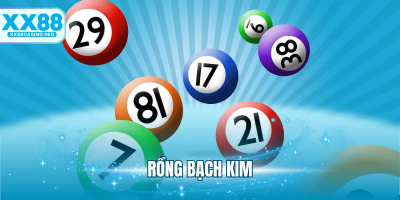 Rồng Bạch Kim - Bí Kíp Tăng Khả Năng Thắng Đậm Lô Đề 4 Rồng Bạch Kim - Bí Kíp Tăng Khả Năng Thắng Đậm Lô Đề