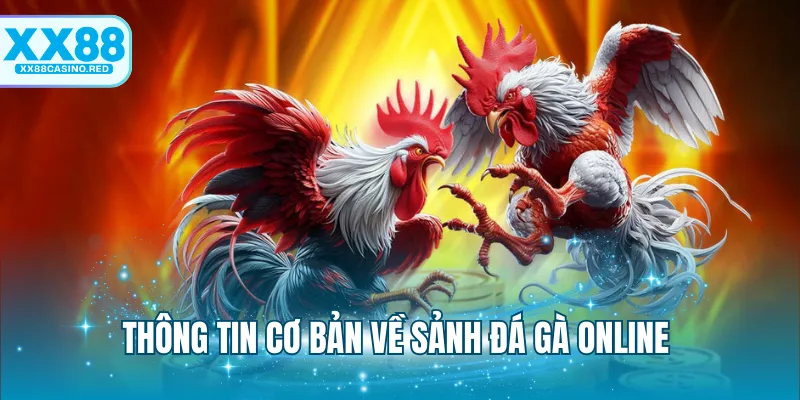 Đá Gà 88 - Sảnh Chơi Cá Cược Đấu Kê Online Hấp Dẫn 5 Thông tin cơ bản về sảnh cược đá gà online